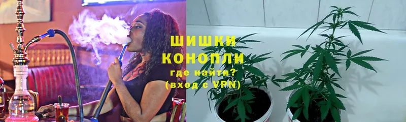 Бошки марихуана OG Kush  blacksprut ТОР  Гдов 